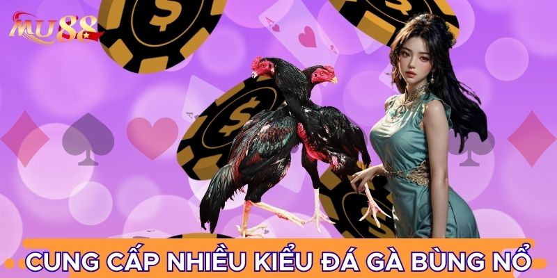 Cung cấp nhiều kiểu đá gà bùng nổ